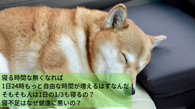 朝の寝起きで口のネバネバと口臭の原因は 6つの予防方法を紹介 家づくり Diyブログ