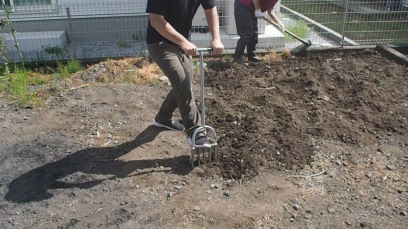 砂利だらけの土をふるいに掛けてグランドカバープランツを植えれるように再生させる 庭づくりdiy 1 さいとうさんは 住宅不動産ライター