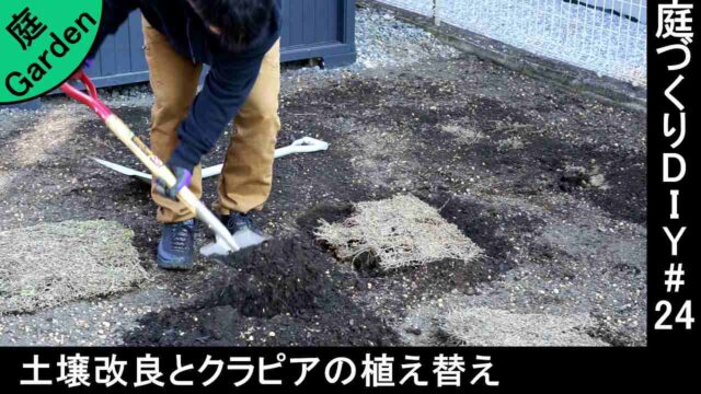 砂利を撤去した土を赤玉土と腐葉土で土壌改良して クラピアを植え替えていく 庭づくりdiy 24 さいとうさんは 住宅不動産ライター