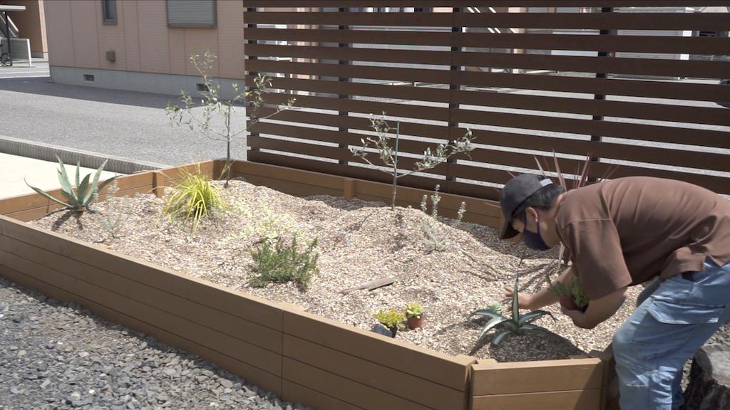 ドライガーデン作り アガベ コルジリネから１００均サボテンなど植え付け編 庭づくりdiy 29 Craft Tree