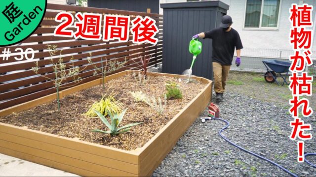 庭づくり さいとうさんは 住宅不動産ライター