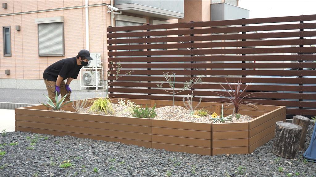 ドライガーデンが完成して2週間の植物の様子 土入れ 害虫対策 活力剤散布等でお手入れ 庭づくりdiy 30 Diyを応援するblog