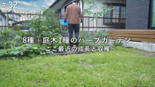 庭づくり さいとうさんは 住宅不動産ライター