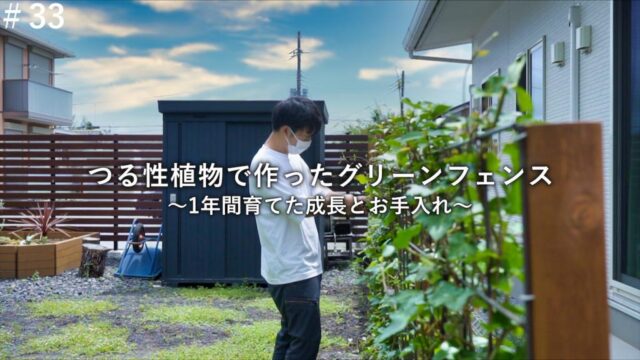 つる性植物のグリーンフェンスを作ってから1年後の成長と手入れ【庭づくりDIY#33】